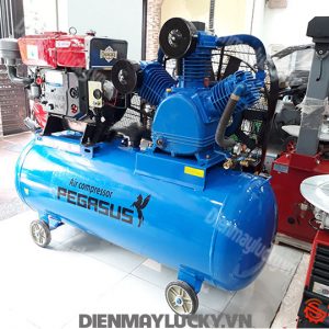 Máy Nén Khí Pegasus Chạy Bằng Dầu Diesel Tm W 2.08 500l(1)