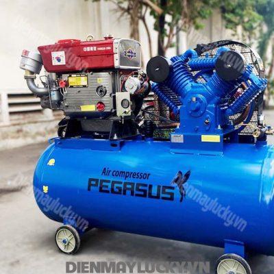 Máy Nén Khí Pegasus Chạy Bằng Dầu Diesel Tm W 2.08 500l(4)