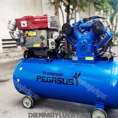 Máy Nén Khí Pegasus Chạy Bằng Dầu Tm W 1.68 500l(3)