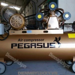 Máy Nén Khí Pegasus Tm W 0.98 500l (5) Min