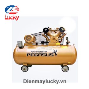 Máy Nén Khí Pegasus Chạy Bằng Dầu Tm V 1.05 12.5 500l