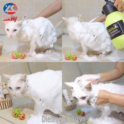 Binh Phun Bot Tuyet Cam Tay Handy Foam 3
