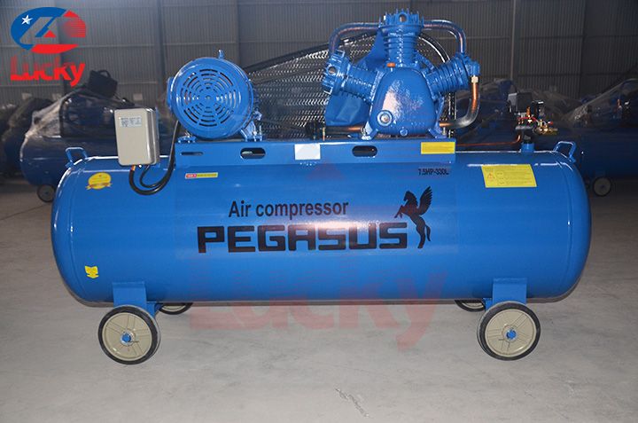 may-nen-khi-pegasus-330l-7,5hp-1-1696912365