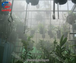 He Thong Phun Suong 7 Min