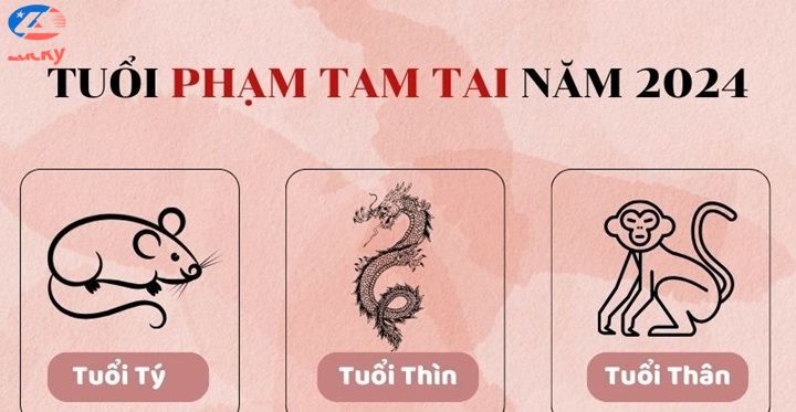 Các câu hỏi thường gặp về Tam Tai